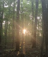 Appa Sundown 1