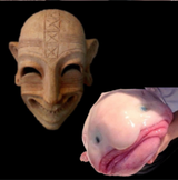 gobnonce