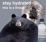 1729196924486442