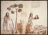 Códice_Casanatense_Hindu_Self-Sacrifice