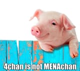 4chan is not MENAchan