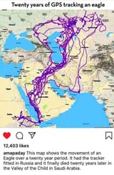 Eagle Trajectory