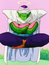 Piccolo