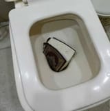 887896759
