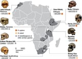 70609N_Drupal_Africa