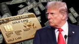 gold card green
