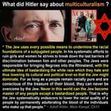 hitler on multiculti