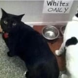 wo