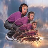 asmonroach