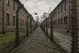 Auschwitz-Rodrigo-Paredes-Flickr-1280x853-1