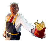 Orange Fries
