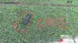 vlcsnap-2025-06-28-21h44m28s911