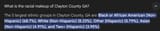 Screenshot 2025-06-28 at 22-50-24 clayton county ga demographics - Google Search