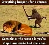 happens_reason