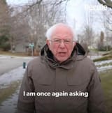 bernie