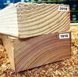 wood 2