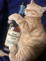 BOURBONKOT04