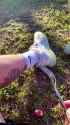1725165295627926_thumb.jpg