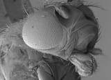images-2