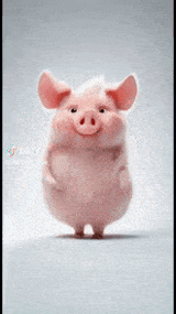 pig-dancing-pig