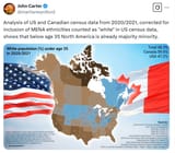 USA minority white