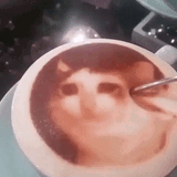 1690677925187279
