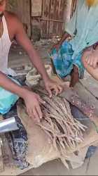 Instant-Tobacco-Making-of-Kolkata-_shorts_1_thumb.jpg
