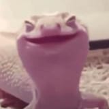 Happy Gecko 2