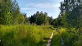 IMG_20250626_165343964_HDR