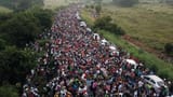 Illegal Immigrants