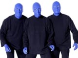 blue-man-group-1024-x-768-wallpaper-v4cid6y9g7th31qm