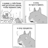 17511003162200