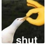 53435534