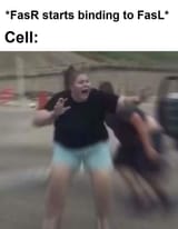 1740140278507259