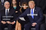 1722541494751687