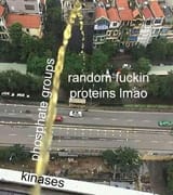1740691528575887