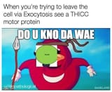 1742855631567792