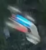 FPV type