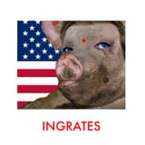 (pigshit vance)