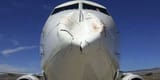 bird damages plane nose