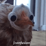 confused-proofster