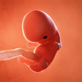 wbw-your-baby-2021-alt-w08-1200x1200
