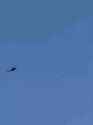 A Ukrainian Mi-8 helicopter shot down a Shahed-136 drone somewhere in the Poltava region, according to Military Journal. 29-06-2025 HD_thumb.jpg