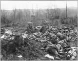 Ww1dead