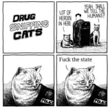 1667120931431348
