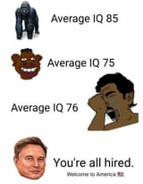 average IQ india Elon Hired