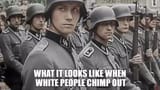 white_chimpout