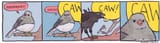 CAW 