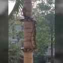 We&#039;re safe snakes can&#039;t climb trees_thumb.jpg