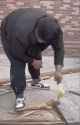 VID_20240429_192847_052_thumb.jpg